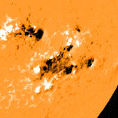 Active Region seen with SOHO/MDI