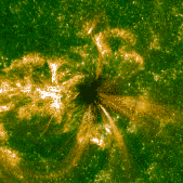 Sunspot loops