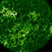 Active Region seen with TRACE 1600Å