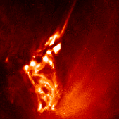 A small bipole and filament eruption