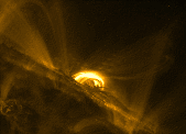 Solar flare (171Å)