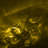 Filament and loops in AR 10039 in 195Å (2)