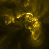 Cusped field lines in AR10875