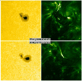 Sunspot loop evolution in AR 8667