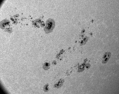 Sunspot clusters in AR39/44/50