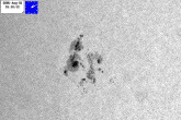 WL image of spot-group cluster