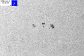 WL image of spot-group cluster