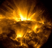 M1.8 flare and loop oscillations in AR 9373