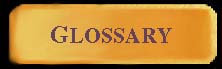 Glossary